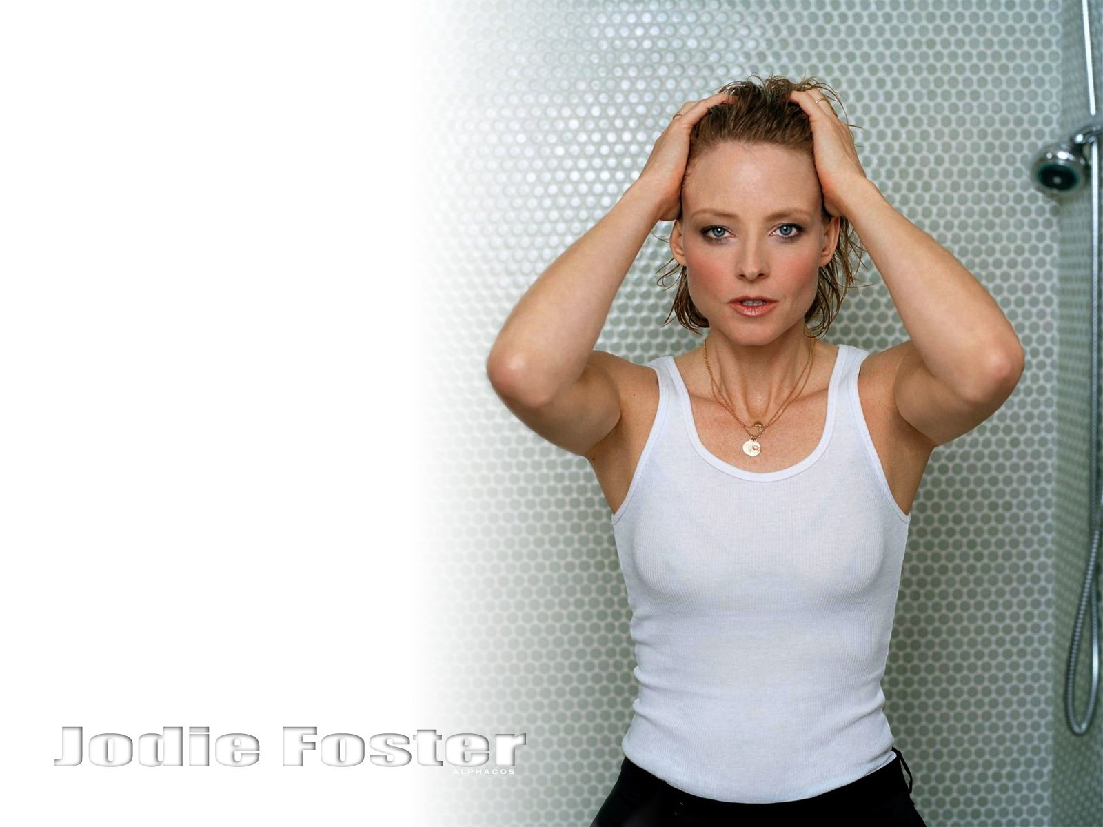 19 ноября 1962г. родилась Джоди Фостер ( Jodie Foster.